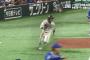 中村が3塁ベース蹴って梶谷がバックホー厶した瞬間wwwwwwww