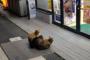 「店の中はぬくいだろな」