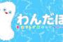 東海テレビのわんだほ、12月31日をもって引退