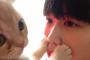 猫『おねえちゃん　おくちくさ～い』