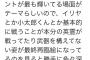 【悲報】FGO公式絵師さん、キッズの妄想を否定して逆恨みされてしまう・・・