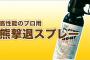 急な仕事で義実家に長女次女を連れて行ったら、何故か義実家お向かいのBBAが小2女児＆1歳半孫連れて凸→ムカつく事を言いながら孫を置いていこうとしたんだが…