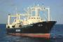 日本の調査捕鯨船団、妨害受けず333頭捕獲（海外の反応）