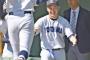 春の高校野球、関東大会のベスト8がこちら 	