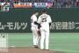 【GIF】岡本が鍬原に声掛け→即飛翔