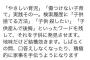 まんさん「パソコンの検索履歴に『子供殺したい』『産んで後悔』と残しあえて発見させてる」