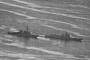 米海軍駆逐艦と中国軍艦の超近接対峙の交信内容を公開…中国「経路を変えなければ良くない結果を迎えるだろう」と警告！