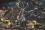 【MHW】エンシェントレーシェンってマルチ楽しいし良モンスだと思う【モンハンワールド】