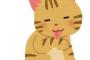 【画像あり】ずっとシャム猫だと思っていた猫がまさかの・・・・