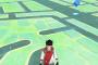 同種のポケモンを何体も同時に使えるって駄目じゃね 	