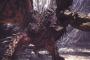 【MHW】みんな歴戦王ネギ何分で討伐できた？【モンハンワールド】