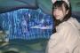 【SKE48】猫になった坂本真凛ちゃんが可愛い