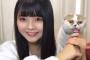 大橋真子ちゃんの猫、くしゃみを連発。花粉症か？