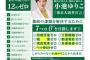 小池百合子「花粉症ゼロします！」←これで当選したという事実