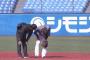 【GIF】阪神陽川、スナイプされる