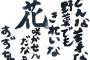 【日向坂46】ホントだ すげぇwww これ編集スタッフ、