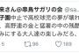 アニ豚「甲子園中止で球児の夢が壊れた？違うだろ。壊れたのは汚い大人の夢。」