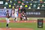 【悲報】韓国プロ野球、ぬいぐるみがどんどん増える