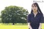 【悲報】欅坂46、始まらない