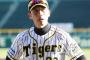 阪神矢野監督　２位伊藤に期待「野球を知っている」