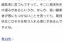 【画像】尾田栄一郎「俺のネームのどこが悪い？言ってみろ」新人編集「はわわ…」