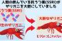 【画像】人間が飲んだ抗鬱剤が糞尿に紛れて川に流れた結果ｗｗｗｗｗｗ