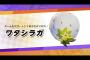 ポケモンユナイト、ワタシラガが強すぎるｗｗｗｗｗｗｗｗｗｗｗ