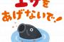【悲報】 隣の家の鯉に「パンの耳」与えてたのがバレた結果ｗｗｗｗｗｗｗｗｗｗｗｗ