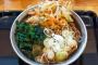 【画像】このレベルの「立ち食いかき揚げそば」にいくらまで出せる？