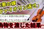 【2ch修羅場】祖父の遺品の高額なヴァイオリンは渡せない→偽物を渡す→大事件に【ゆっくり】