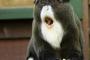 【画像】動物たちが驚いた瞬間を激写！！19枚