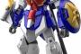 ガンダムWの5機のHG化で最後がシェンロンとはな