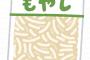 【悲報】庶民の味方のもやしまで値上がりが決定・・・・・・・・・