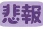 【悲報】金本知憲氏「藤浪が何で打たれるのか分からない、あのボールで。ポテンシャルは大谷レベル」