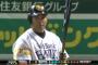 ソフトバンクペタジーニ(39)ｗｗｗｗｗｗ