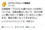 【AKB48】石綿星南さん、芸能界引退へ！！【せなたん】