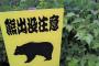クマが増えたのは野良犬を駆除したためと判明！！！