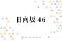 日向坂46、デビューから5年で名実共に成長！初の“選抜制度”導入で新たなフェーズへ