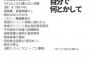 【ガンダム】「連邦による統治」と「ジオンによる統治」、一般人にとってはどちらがベターか