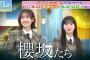 【櫻坂46】ペテン師集団 櫻坂たち【夜明けのラヴィット！】