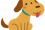 うちの犬がここ２年間毎日50km以上散歩してたことに最近気付いた …(゜Д゜;)
