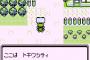 初代ポケモンで使ってた野生ポケモン