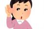 § 物静かな彼。声が小さくて聞き取れず何度も聞き返すのに疲れた。伝えようとする努力もしないしうんざり