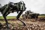 イタリア陸軍パラシュート連隊が「SCUDO」演習のハイライトを公開！