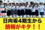 日向坂4期生から何やら朗報がキタ！！【日向坂46】