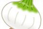 玉ねぎとかいう万能野菜ｗｗｗｗｗ