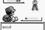 初代ポケモンのジムリーダーの倒し方