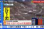千葉・館山の海岸で複数のクジラが打ち上げられる