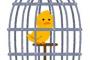 「母親の血を引いている貴方をもう愛せない」母親が嫁のインコを踏み頃し離婚話が勃発。俺は離婚したくない…母親「噛み付いたから痛くて落としてしまった。凶暴な鳥だ(反