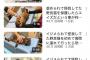 【朗報】もちまる日記さん、保護猫が加入し3匹体制へ